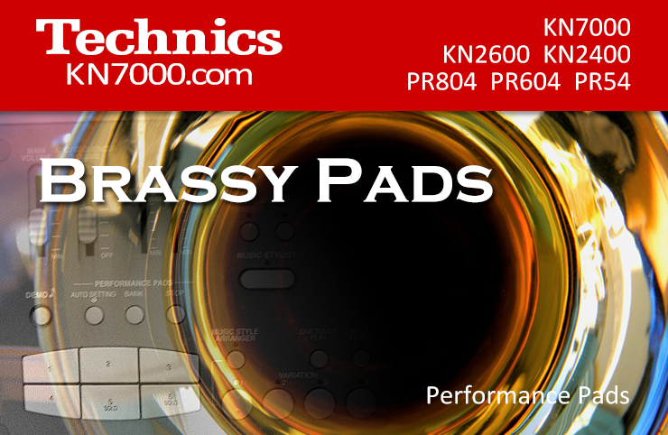KN7000_BRASSY_PADS.png